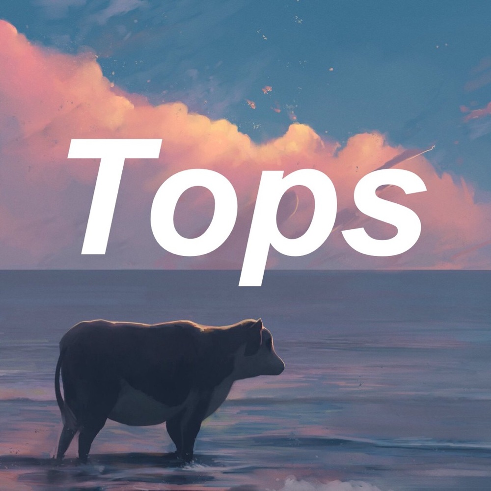 Tops below 👚👔👕